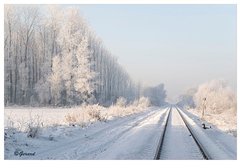 Sneeuwlandschap De Hees 2.jpg - Sneeuwlandschap De Hees